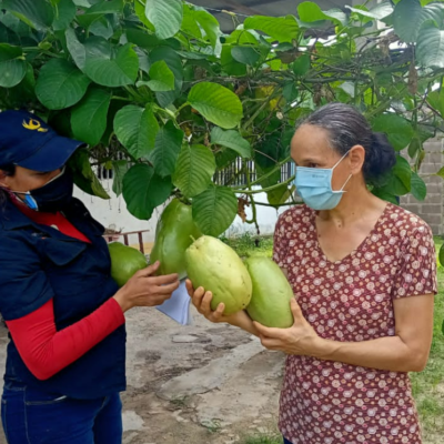 Seguridad alimentaria