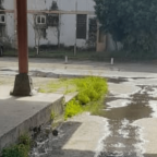 En San Blas 1, Valencia, aguas tanto blancas como negras corren libremente por las calles