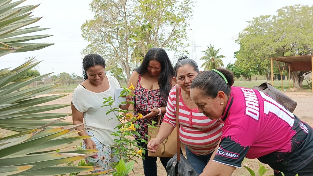violencia contra la mujer