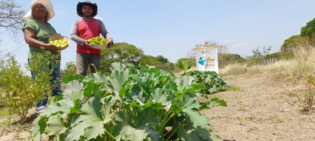 Agricultura Familiar El Baúl